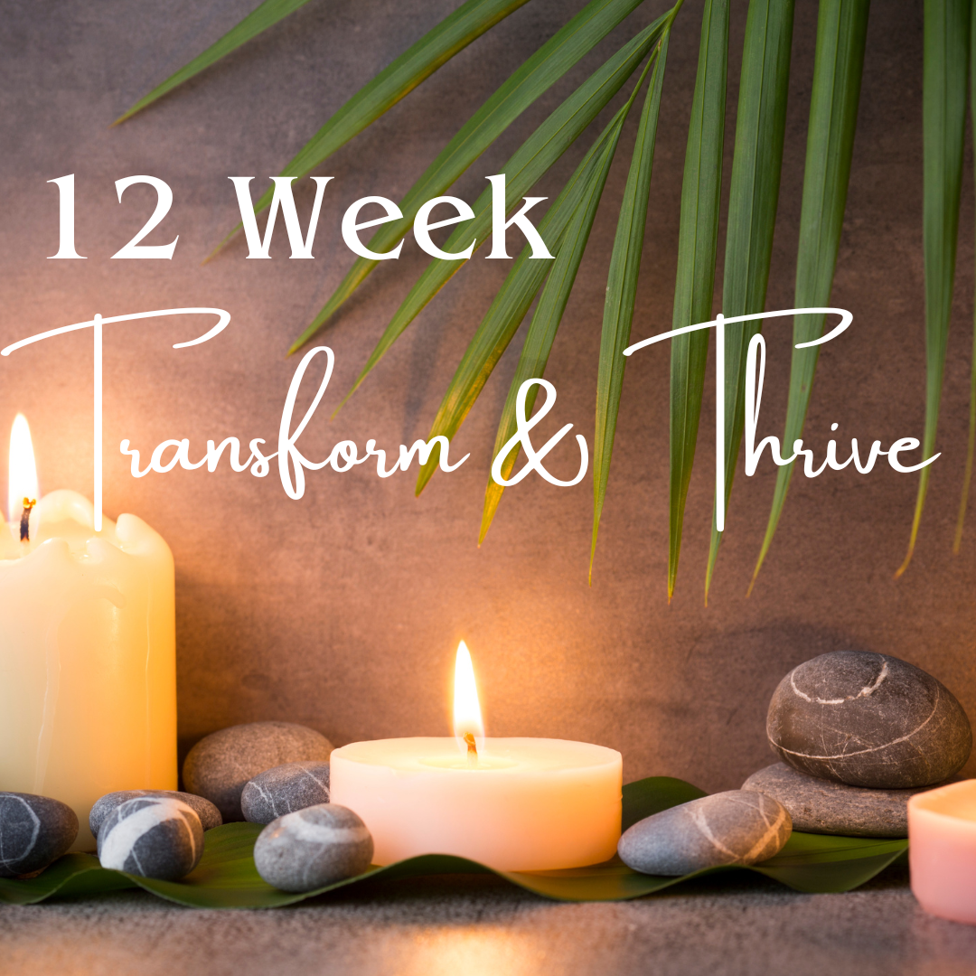 12 Week Transform & Thrive Program